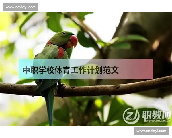 体育心理训练策略与方法创新助力运动员竞技表现提升研究